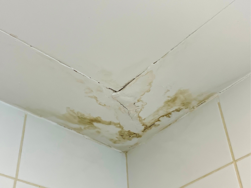 Leaking pipes showing water on the ceiling